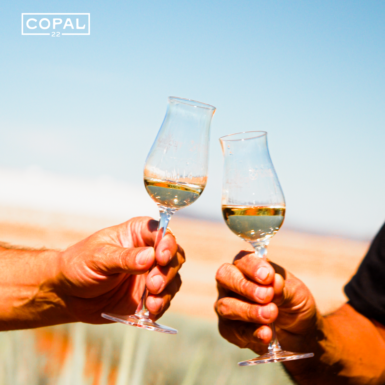 Why Does Tequila Give You a Hangover? (The Real Answer)