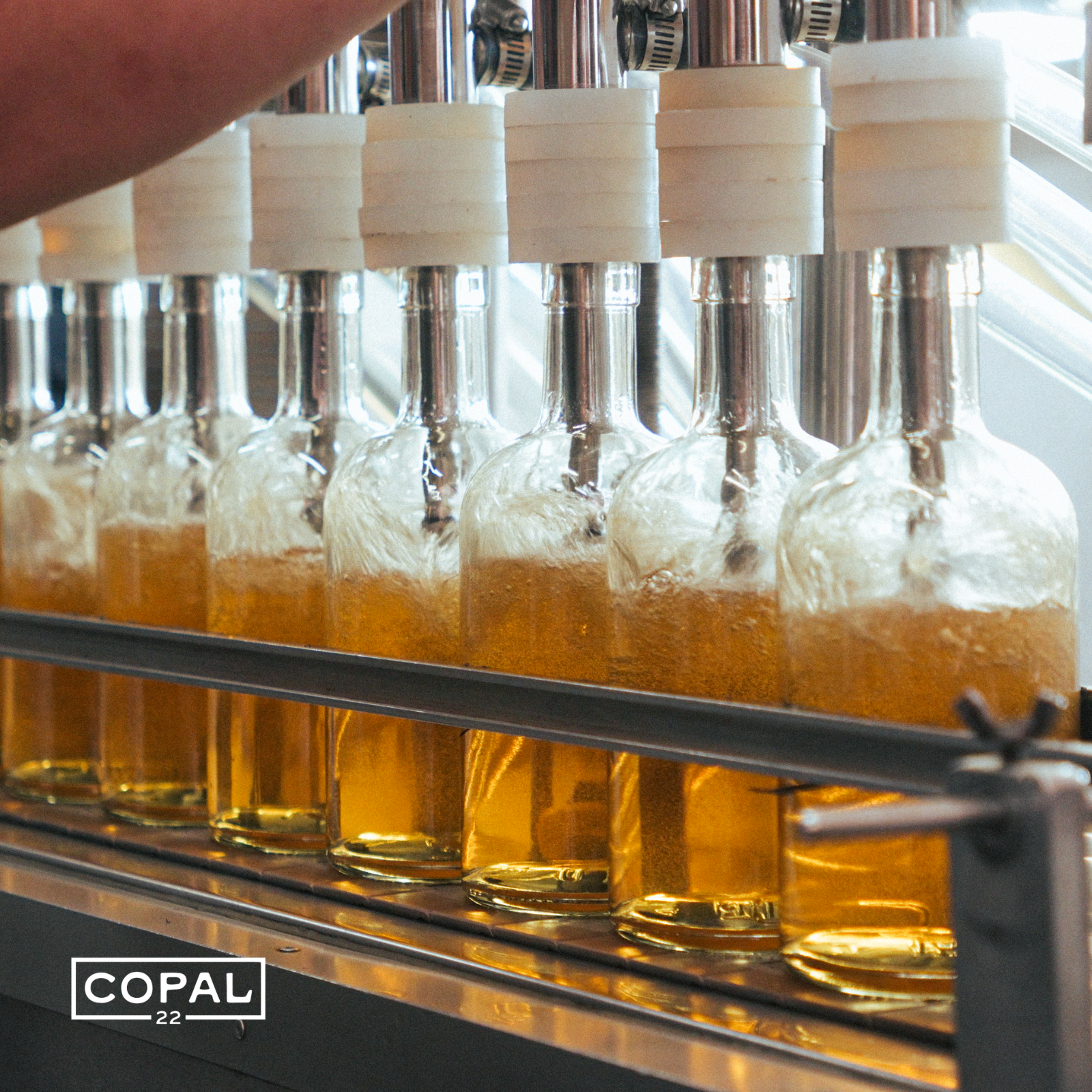 Blanco vs Reposado vs Añejo: What's Actually Different (and Which One You Should Be Drinking)