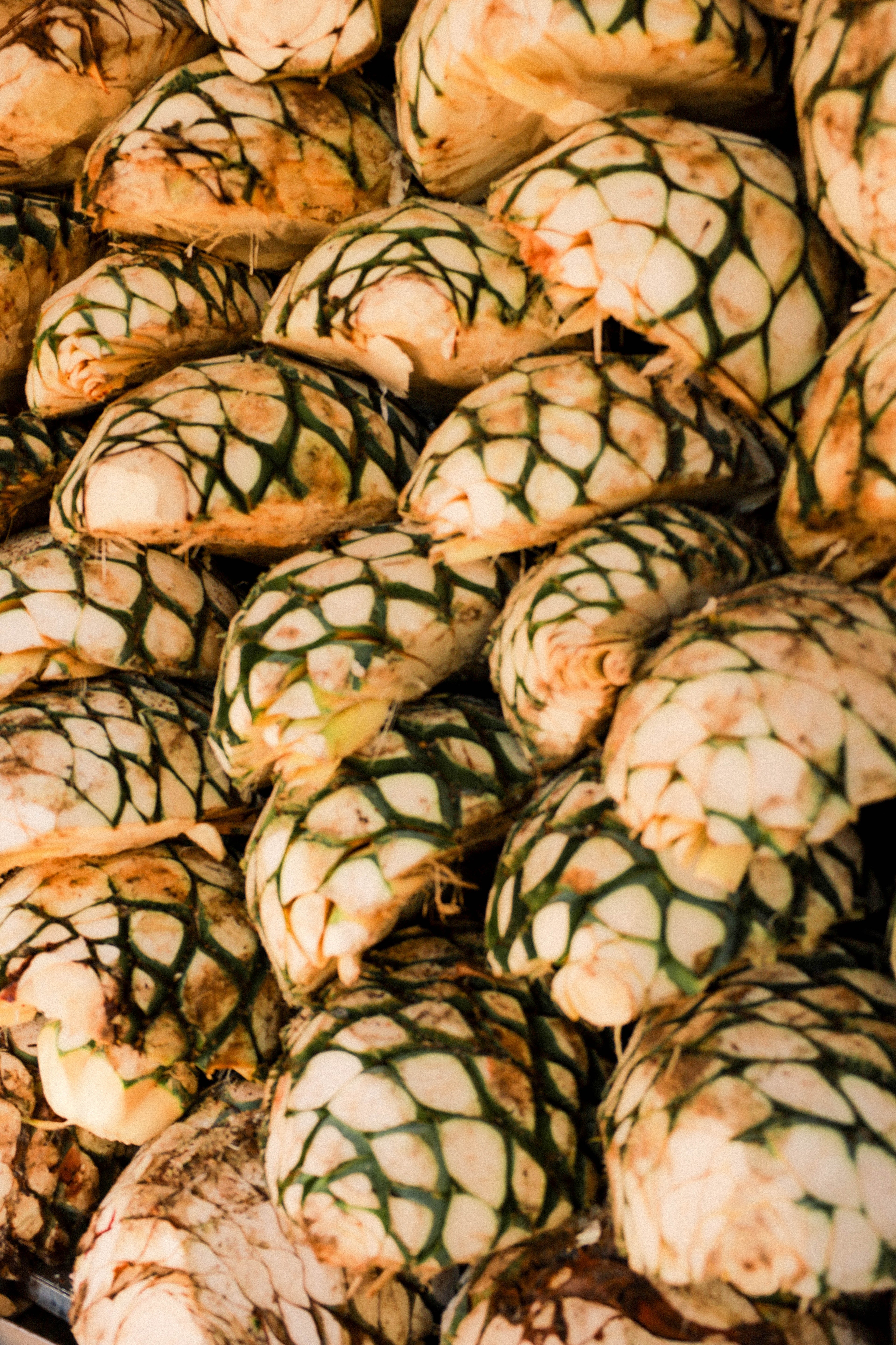 Tequila Fermentation: Why It's the Step That Determines Everything