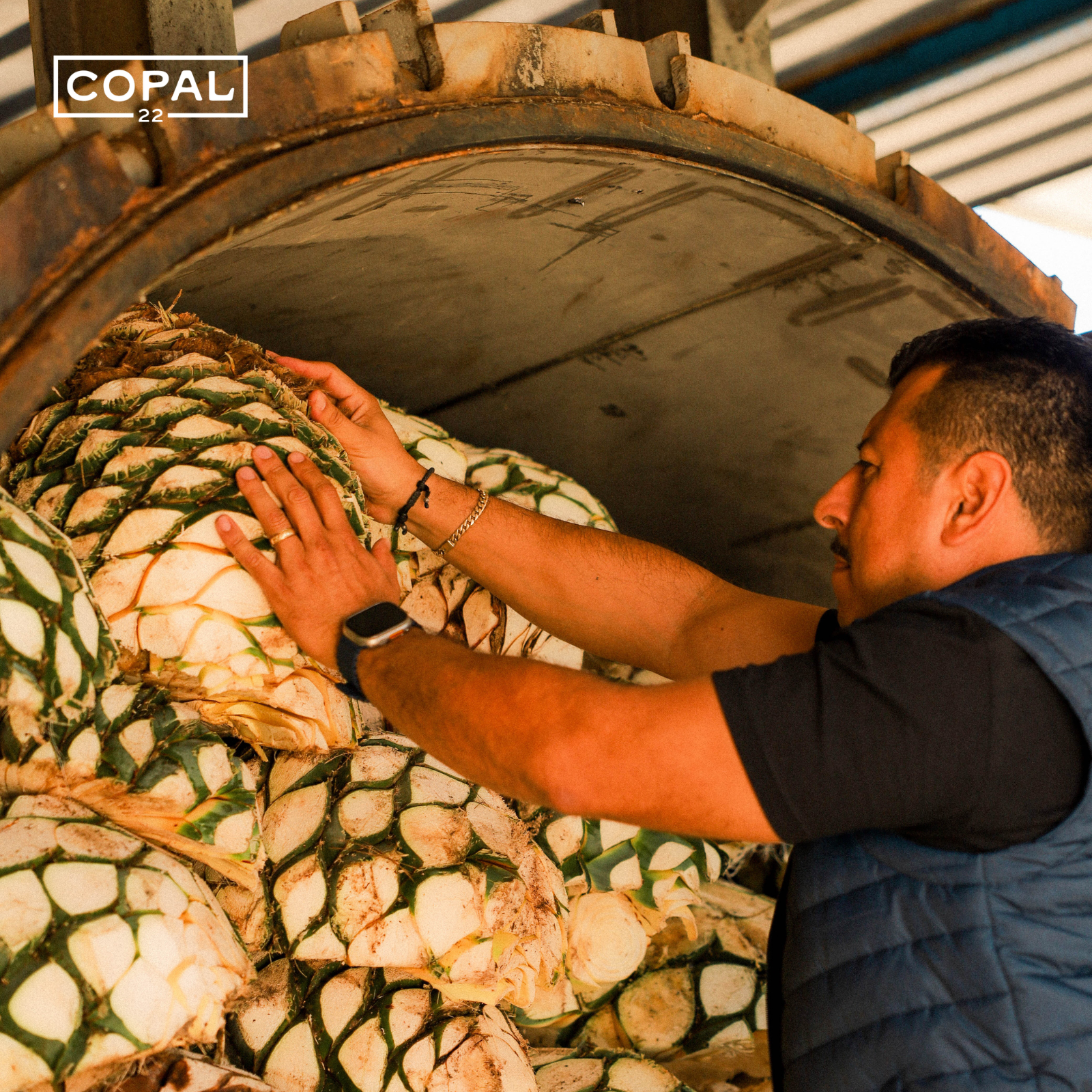 How Tequila Is Made: The Full Process, From Agave Field to Bottle